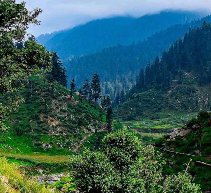 6-Day Nature & Culture Tour